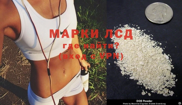 ешки Белокуриха