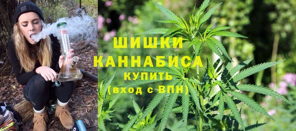 ешки Белокуриха