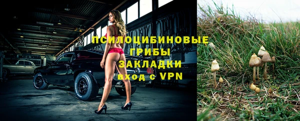 ешки Белокуриха