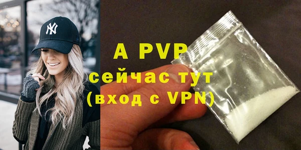 ешки Белокуриха