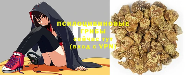 ешки Белокуриха