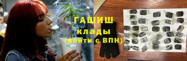 ешки Белокуриха