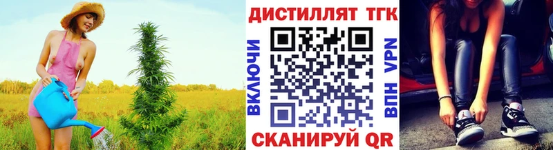 купить закладку  Кудымкар  ТГК гашишное масло 